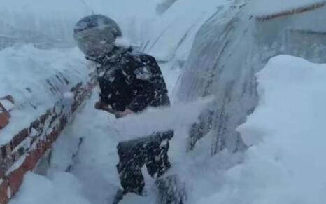 极寒暴风雪冰封下的通辽 专家称多地大暴雪或引发雪灾